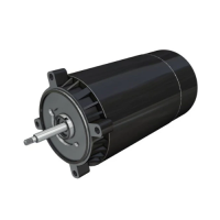 Hayward Replacement 3/4 HP Pump Motor