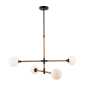 CAPILANO 4-LIGHT CHANDELIER