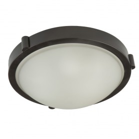 BOISE 10 FLUSH MOUNT W/BAND