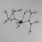 ORGANIC 12 LT MULTI-ARM CHAND.