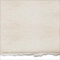 Arches Oil Cold Pressed Paper 22" x 30" Single Sheet