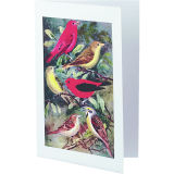 Avery&reg; Half-Fold Greeting Cards 8-1/2" x 5-1/2" White 20 sets/box