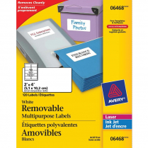 Avery&reg; Multipurpose Labels Removable 2" x 4" 120/pkg