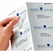 Avery&reg; Easy Peel&reg; Clear Address Labels 3-1/3" x 4" 60/pkg
