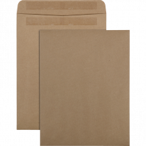 Basics&reg; Catalogue Envelopes Natural Kraft 11-1/2" x 14-1/2" 100/pkg