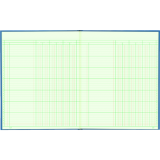 Blueline&reg; A1740 Columnar Book 12-1/4" x 9-7/8" 6-column
