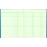 Blueline&reg; A1740 Columnar Book 12-1/4" x 9-7/8" 12-column