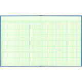 Blueline&reg; A1740 Columnar Book 12-1/4" x 9-7/8" 18-column