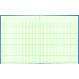 Blueline&reg; A1740 Columnar Book 12-1/4" x 9-7/8" 20-column