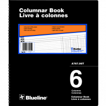 Blueline&reg; A767 Columnar Book 12" x 10" 6-column