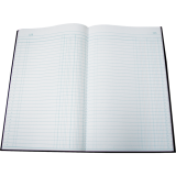 Blueline&reg; A790 Account Book 12-1/2x7-5/8" Record