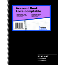 Blueline&reg; A797 Series Account Book 3 Column 100 pages 10-1/4" x 7-7/8"