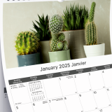 Blueline&reg; Succulent Plants Wall Calendar 12" x 17" Bilingual