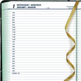 Blueline&reg; Traditional Daily Diary Hard Cover 8-1/8" x 6-1/2" Bilingual Green