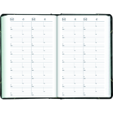 Blueline&reg; Traditional Daily Diary Hard Cover Bilingual 13-3/8" x 8" Green