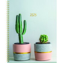 Blueline&reg; Succulent Plant Weekly/Monthly Planner 11" x 8-1/2" Bilingual