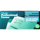 Blueline Double Window #9 Security Envelopes 100/box