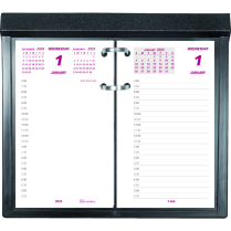 Brownline&reg; Jumbo Calendar Pad Refill Daily 6" x 3-1/2" English