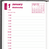 Brownline&reg; Traditional Daily Pocket Diary 6" x 3-1/8" Assorted Colours English