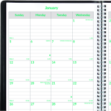 Brownline&reg; EcoLogix&reg; Monthly Planner 11" x 8-1/2" English Black