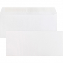 Business Source Peel & Seal #10 Envelopes 500/box