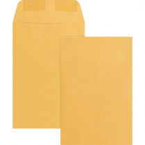 Business Source Catalogue Envelopes Kraft 6" x 9" 500/box