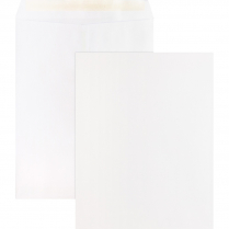 Business Source Self-Sealing Catalogue Envelopes White 10" x 13" 100/box