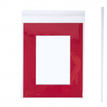 Crystal Clear Bag with Flap 8-7/16" x 10-1/4" - Single