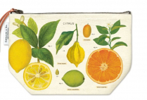 Cavallini Pouch Citrus