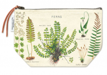 Cavallini Pouch Ferns
