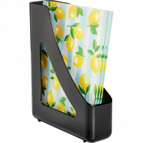 Deflecto&reg; Antimicrobial Magazine File Black