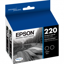 Epson&reg; 220 Inkjet Cartridge Black