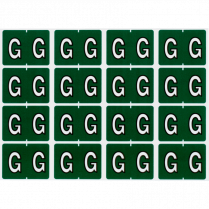 Pendaflex&reg; Labels G Dark Green 240/pkg