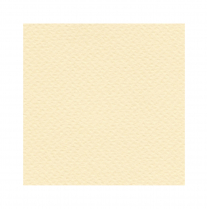 Fabriano Tiziano Drawing Paper 20" x 26" Banana