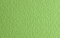 Fabriano Tiziano Drawing Paper 20" x 26" Light Green