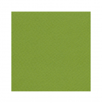 Fabriano Tiziano Drawing Paper 20" x 26" Pistachio