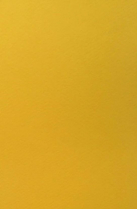 Fabriano Tiziano Drawing Paper 20" x 26" Gold