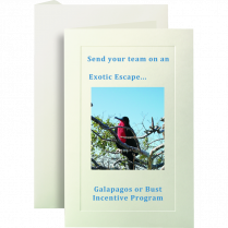 St. James&reg; Overtures&trade; Invitations w/Envelopes Ivory 40 sets/pkg