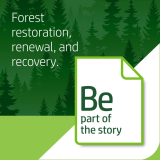 HP Premium32 Laser Paper 100B 32lb 8-1/2" x 11" 500/pkg