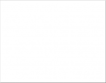 Pacon Railroad Board 6ply 22" x 28" White