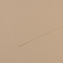 Canson Mi-Teintes Drawing Paper 19-1/2" x 25-1/2" 343 Pearl