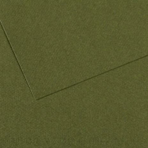 Canson Mi-Teintes Drawing Paper 19-1/2" x 25-1/2" 448 Ivy