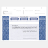 Share Certificates Blue Letter 8-1/2" x 11" 25/pkg