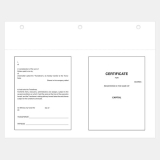 Share Certificates Blue Letter 8-1/2" x 11" 25/pkg