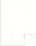 Astrobrights Coloured 65lb Cardstock Speckled Stardust White 8-1/2" x 11" 250/pkg