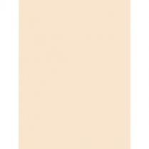 Manila Tag 18" x 24" 300M 100/pkg