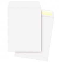 Supremex Envelopes 6-1/2" x 9-1/2" 100/pkg