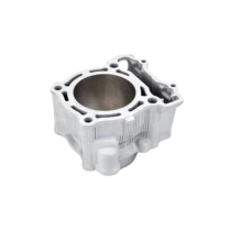 CYLINDER - YZ250F 2014-2018 WR250F 2015-2018