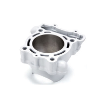 CYLINDER - KX250F 2010