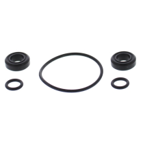 FUEL INJECTOR AND THROTTLE BODY O-RING KIT